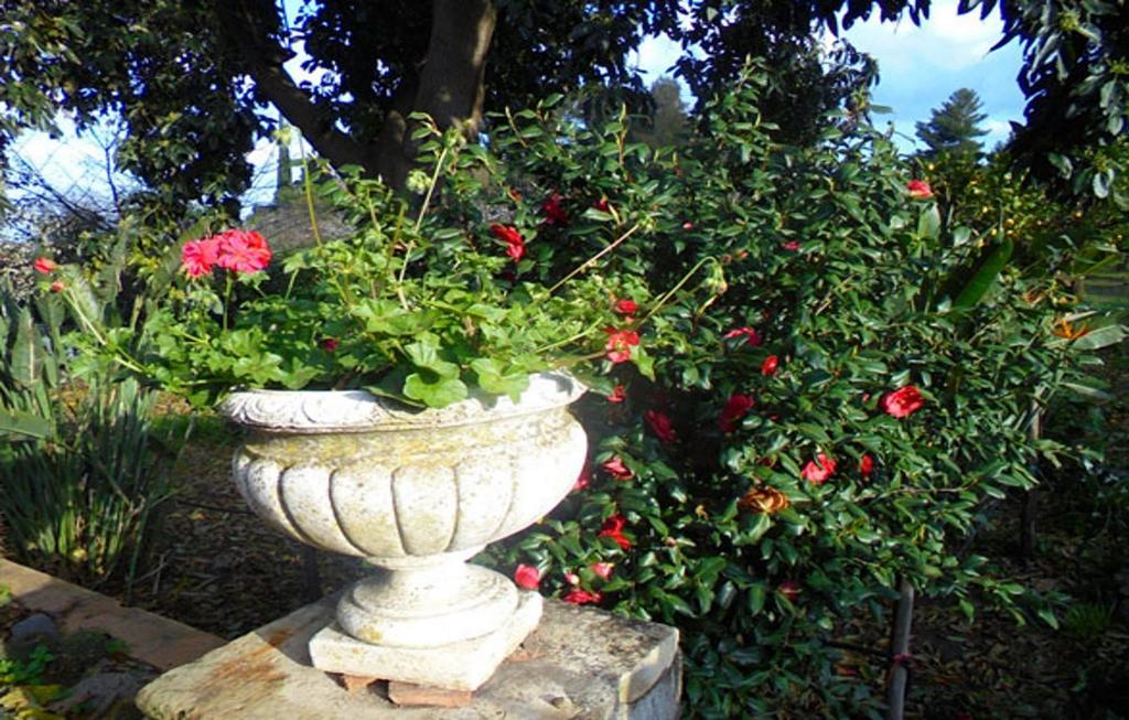 Baglio Delle Rose Bed & Breakfast Джаре Екстериор снимка