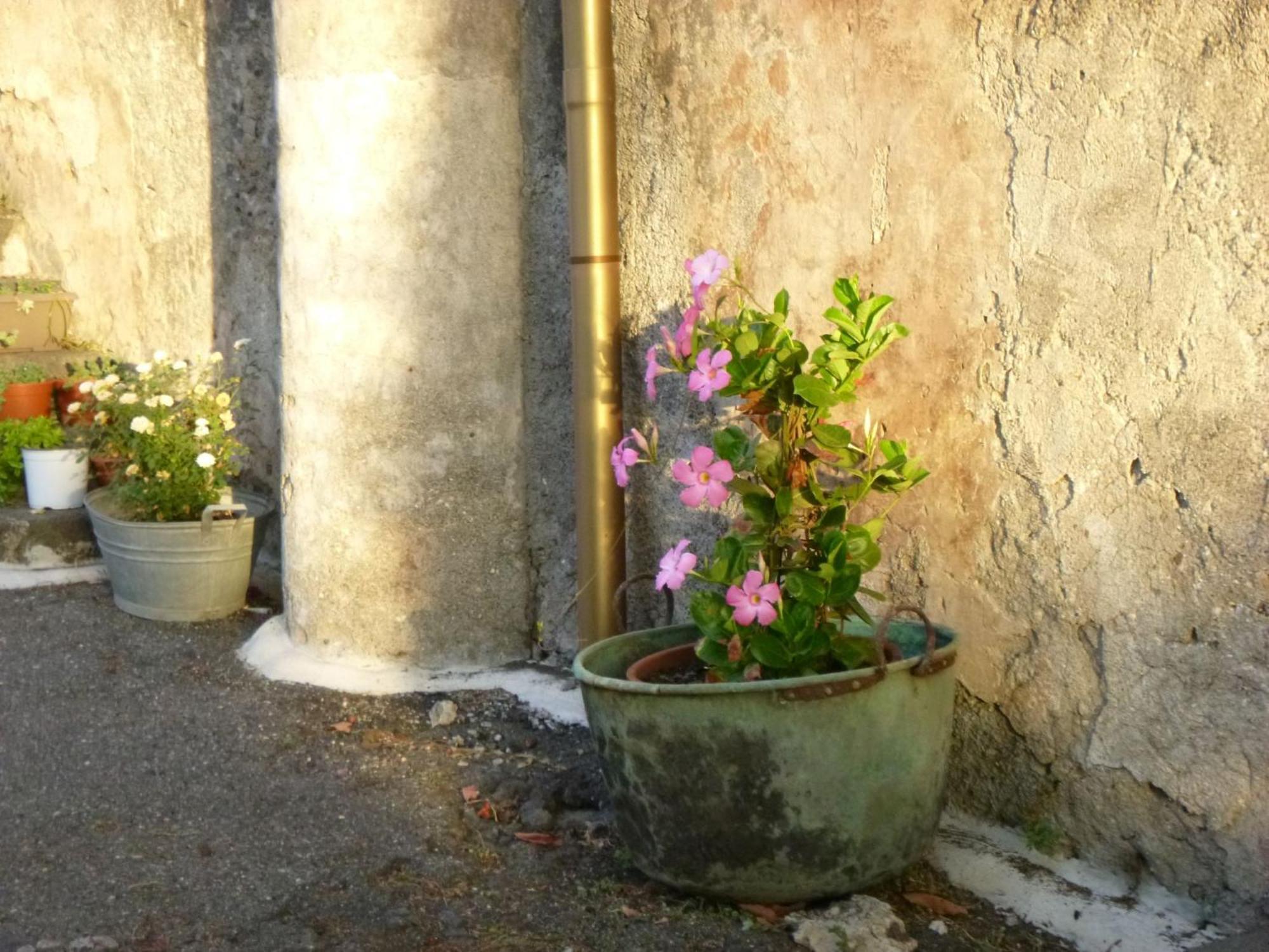 Baglio Delle Rose Bed & Breakfast Джаре Екстериор снимка