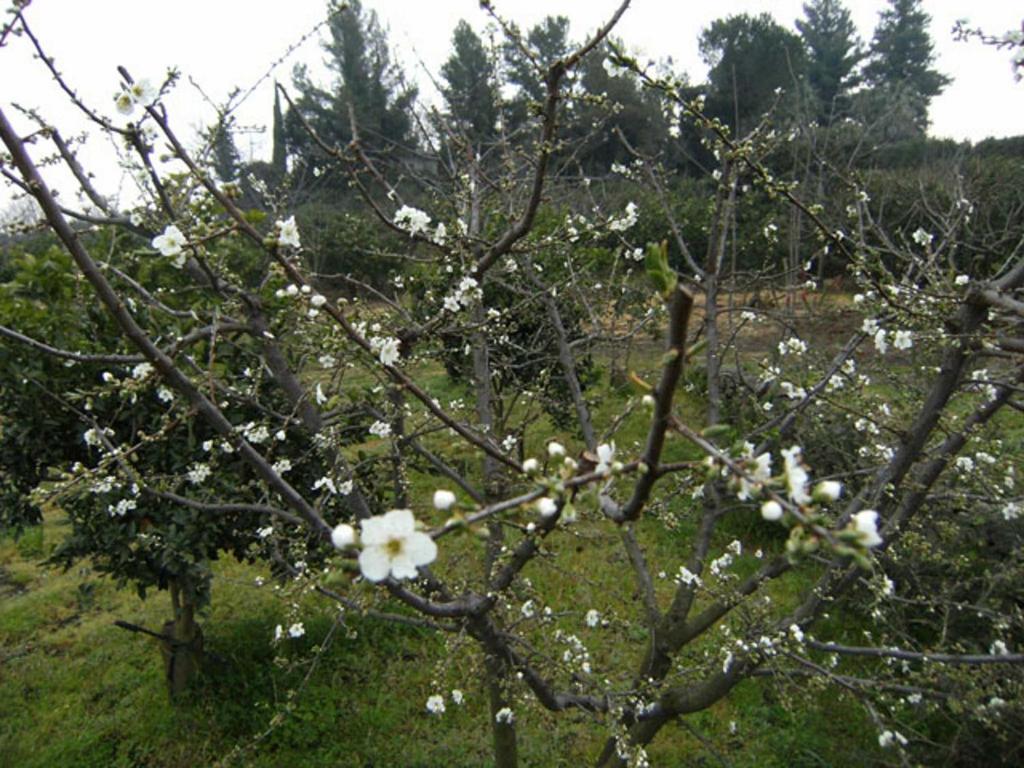 Baglio Delle Rose Bed & Breakfast Джаре Екстериор снимка