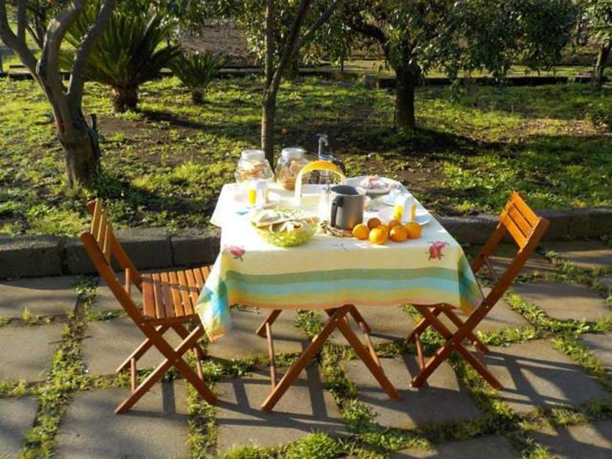 Baglio Delle Rose Bed & Breakfast Джаре Екстериор снимка